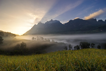 Mountain and mist , Doi Luang Chiang Dao, TH