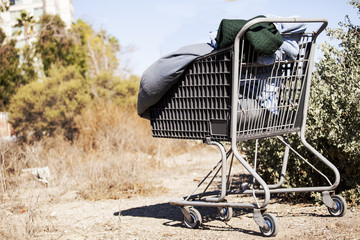 Homeles cart © erik