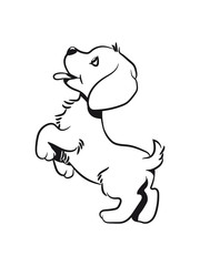 Dog baby cute