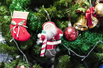  Christmas socks hanging on a Chrismas tree.