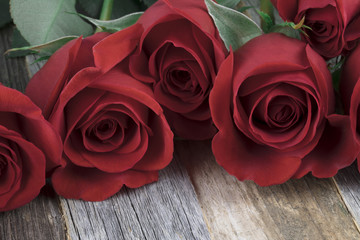 Red Roses Close Up