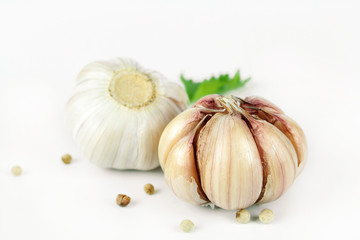 Garlic with leaves of coriander isolated on white 