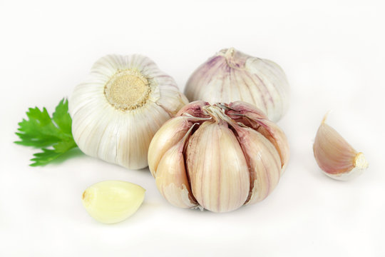 Garlic with leaves of coriander isolated on white 