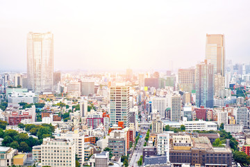 Fototapeta na wymiar Asia Business concept for real estate and corporate construction - panoramic modern cityscape building bird eye aerial view from tokyo tower under sunrise and morning blue bright sky in Tokyo, Japan