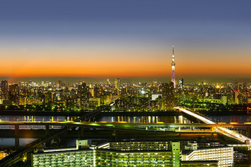 panoramic modern city skyline bird eye aerial night view with tokyo skytree under dramatic neon glow and beautiful dark blue sky in Tokyo, Japan