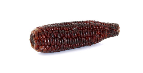 Red corn isolated on the white background
