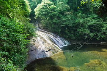 Japan travel concept - beautiful yoro keikoku valley waterfall under dramatic sun glow and morning blue sky in Chiba Prefecture, Japan © voyata