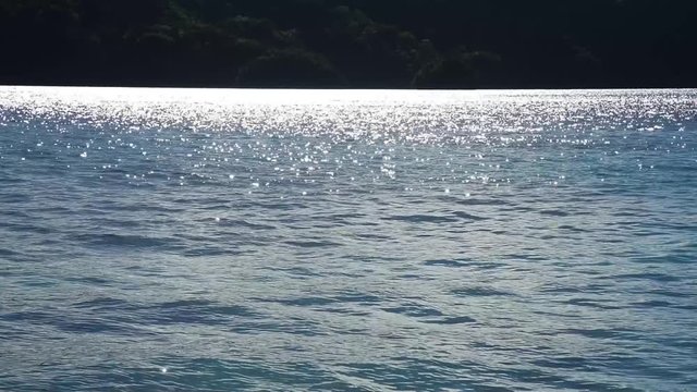 コロール島の逆光の海