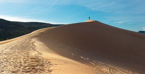 Fototapeta na wymiar Landscape photography of Desert In Arizona