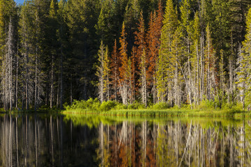 Beautiful mountain lake with tree line and reflections in the Tahoe Basin