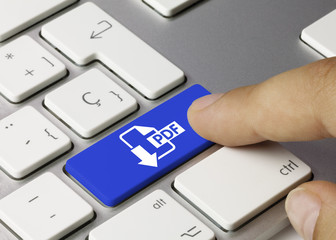 Download PDF