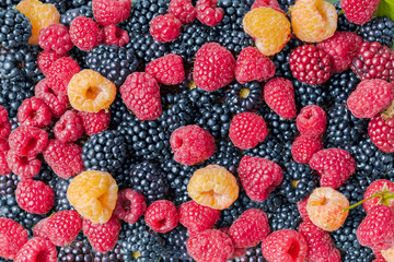 Multi-colored rasberries and blackberries pattern.