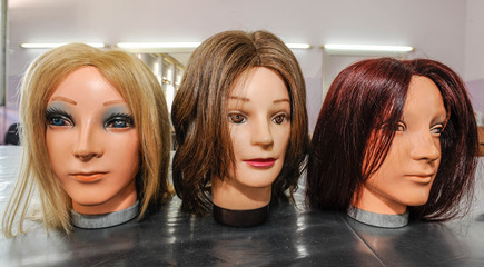 wigs on mannequin heads