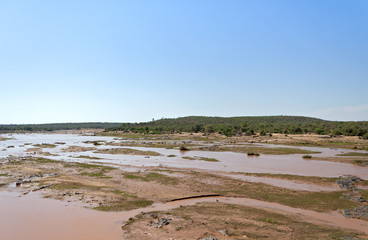 The Olifatnts River in the Kruger National Park, South Africa