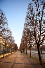 Autumn alley in the city, Paris, France