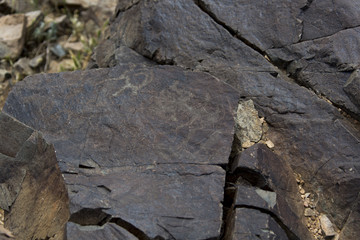 Steinzeitliche Symbole in der Mongolei