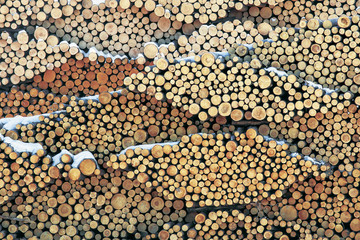 Timber stacked for recycling