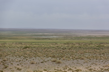 Die Wüste Gobi - Mongolei