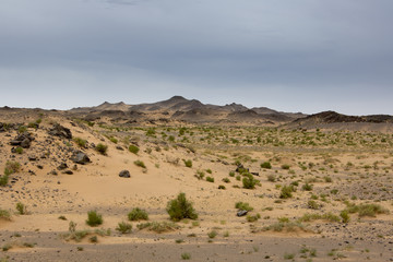 Fototapeta na wymiar Die Wüste Gobi - Mongolei