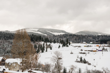 Obraz na płótnie Canvas winter landscape of Carpathians