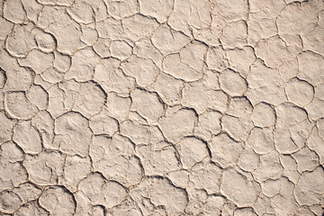 Dry soil