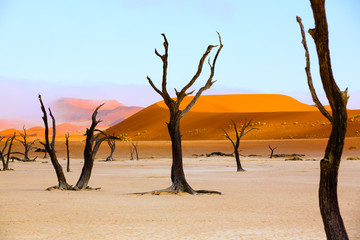 Sussusvlei Deadvlei - Namibia