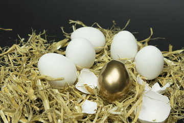 golden egg and other eggs