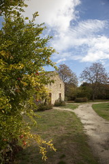 Fototapeta na wymiar Francia,Guascogna,campagna,una casa e pianta di melograno