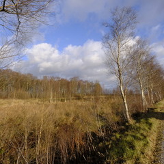 Niedersandhausen zur Winterjahreszeit
