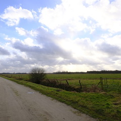 Fototapeta premium Niedersandhausen zur Winterjahreszeit