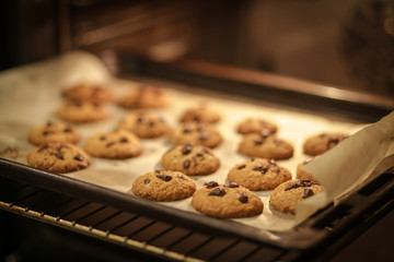 шоколадное печенье запекается в духовке 