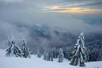 Fototapeta na wymiar Winter in the Carpathian mountains