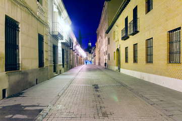Obraz premium streets, monuments and old buildings of the town of Alcala de He