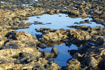 Ocean in the middle of the volcanic rocks of the Canary Islands, Fuerteventura