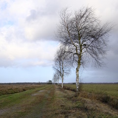 Niedersandhausen zur Winterjahreszeit
