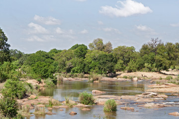 Fototapeta na wymiar The Sabie River in the Kruger National Park, South Africa