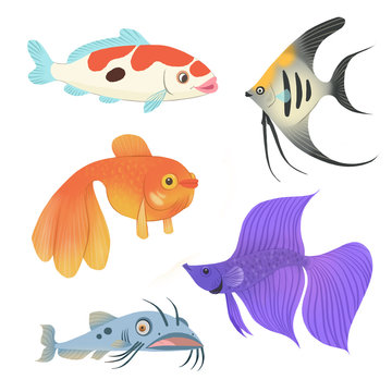 Colorful cartoon fresh water fish set