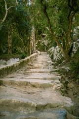 A beautiful view of park in Sintra, Portugal