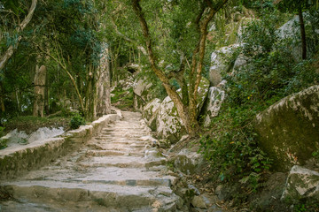 A beautiful view of park in Sintra, Portugal