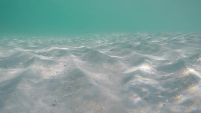 Sun glare on the white sandy bottom of the shallow water
