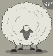 funny cartoon fluffy white sheep