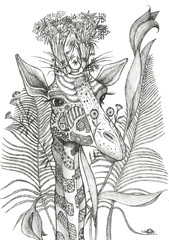Fototapeta premium Giraffe, ink drawing