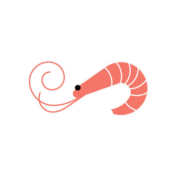 Shrimp icon. Prawn vector illustration
