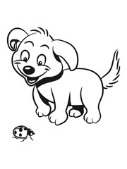 Dog baby cute sweet cute ladybug