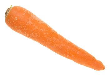 orange carrot