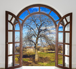 open door arch garden bloom in spring
