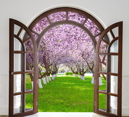 Fototapeta premium open door arch garden bloom in spring