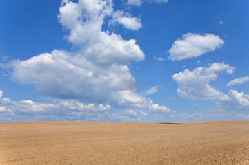 Fototapeta na wymiar Field of plowed ground on a background of blue sky with clouds.