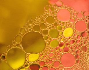 Oil and water bubbles