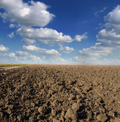 Plowed field in spring time with blue sky